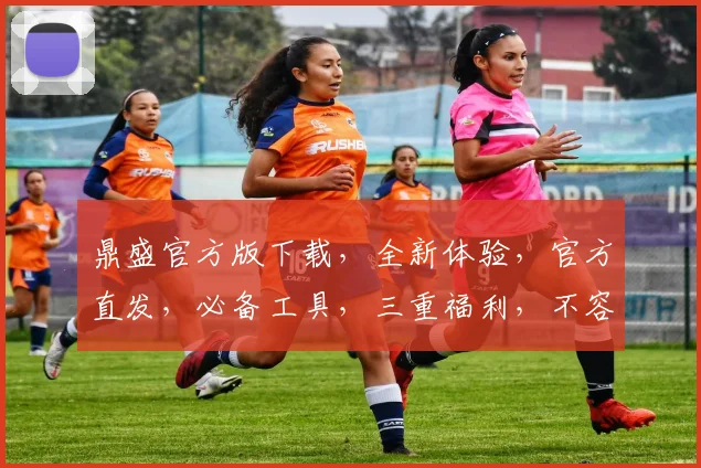 鼎盛官方版下载,全新体验,官方直发,必备工具,三重福利,不容错过,速来下载