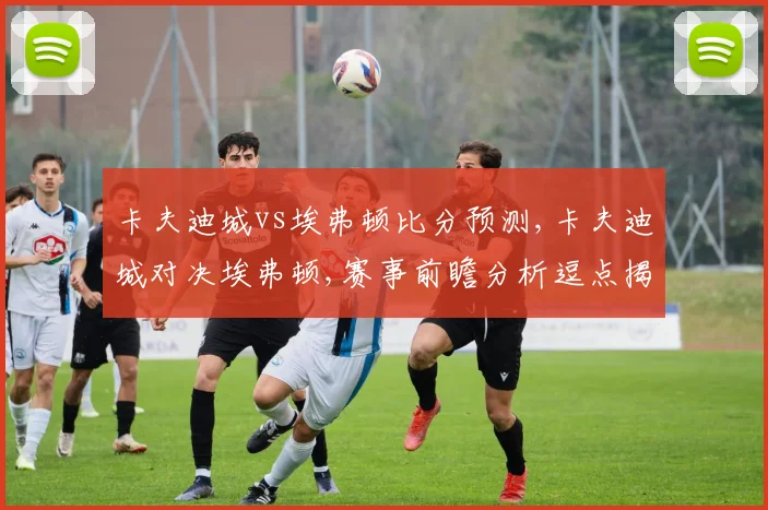 卡夫迪城vs埃弗顿比分预测,卡夫迪城对决埃弗顿,赛事前瞻分析逗点揭晓
