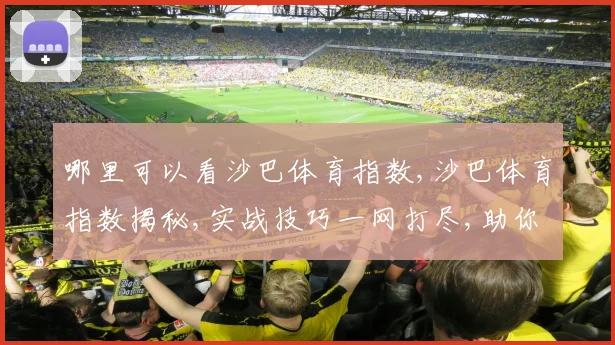 哪里可以看沙巴体育指数,沙巴体育指数揭秘,实战技巧一网打尽,助你精准投注