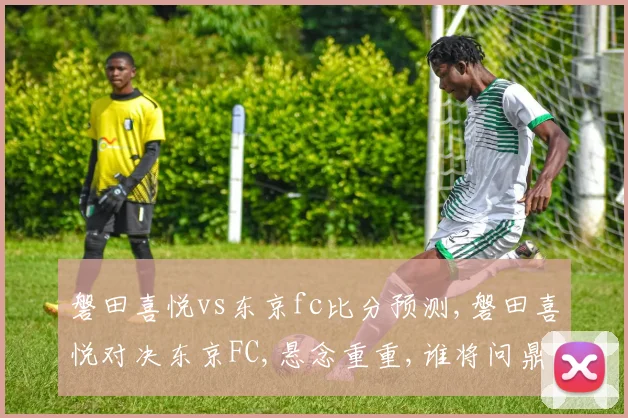 磐田喜悦vs东京fc比分预测,磐田喜悦对决东京FC,悬念重重,谁将问鼎